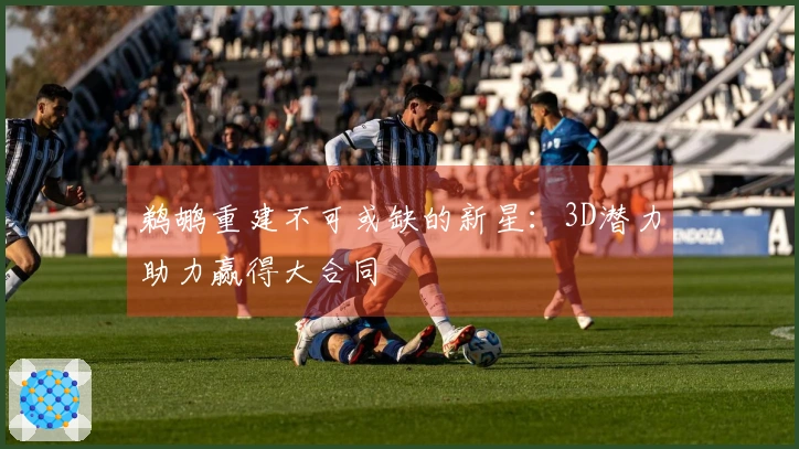 鹈鹕重建不可或缺的新星：3D潜力助力赢得大合同